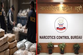 NCB steps up inter-state crackdown on drug networks across Goa, Maharashtra, Karnataka