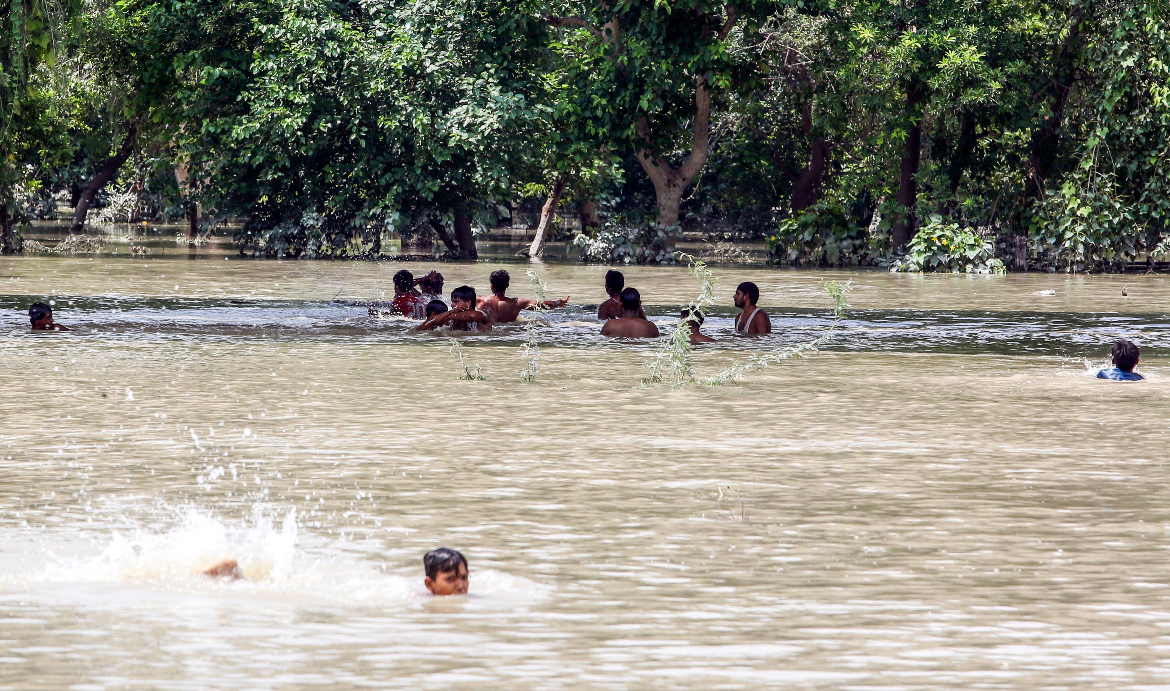 Floodwaters Recede, Diseases Rise: Doctors Warn Of Cholera, Dengue And Skin Infections Across India