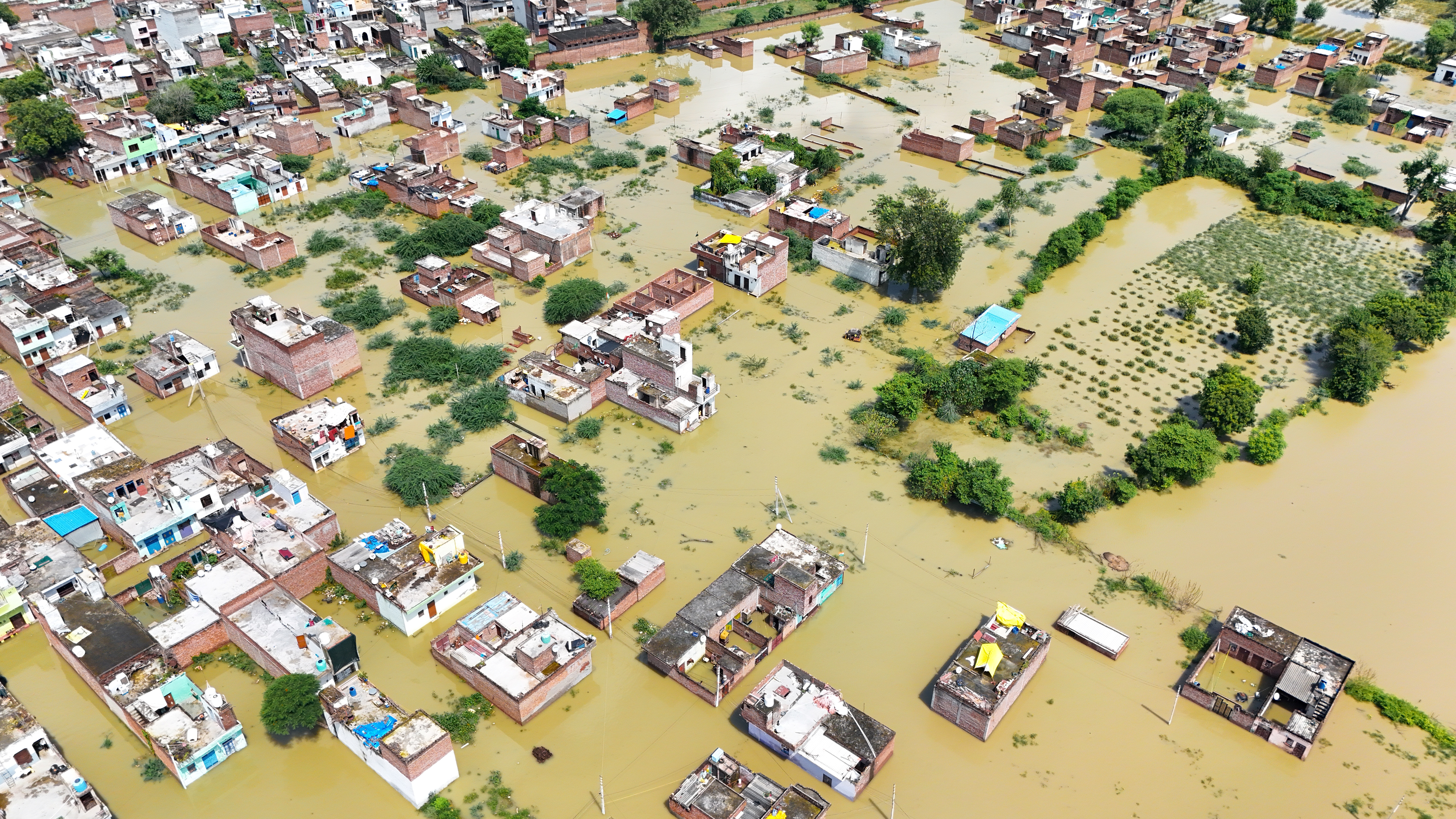 Floodwaters Recede, Diseases Rise: Doctors Warn Of Cholera, Dengue And Skin Infections Across India