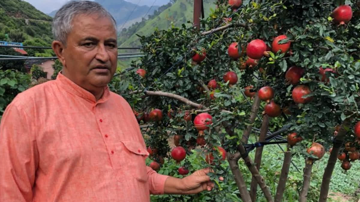 Uttarakhand Farmer Prem Chand Sharma Shows How Agriculture Can Turn Jobseekers Into Job Creators