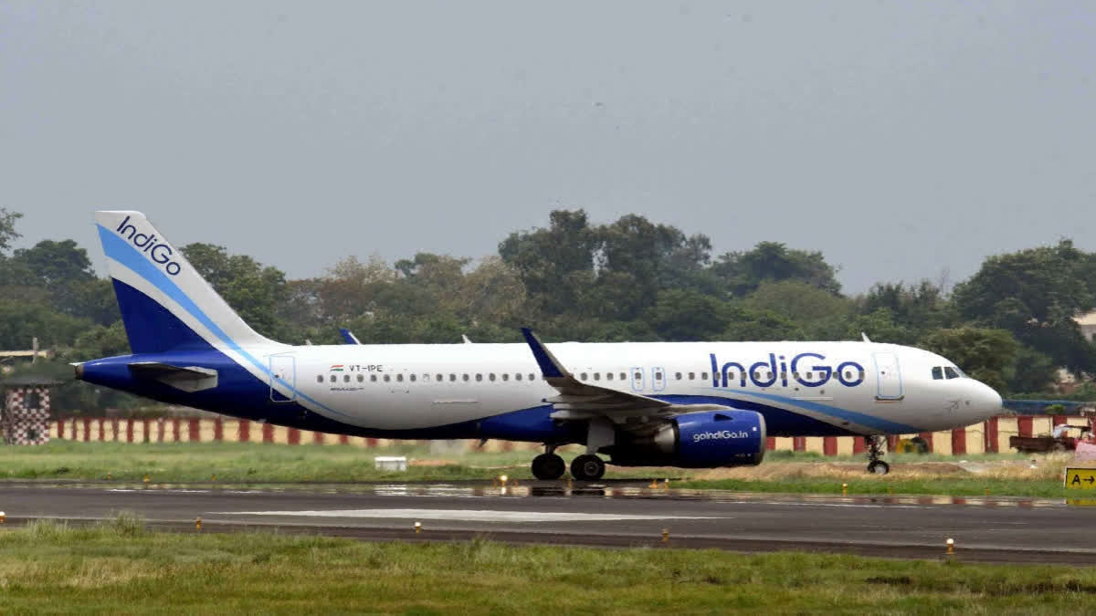 Lucknow TO Saudi Arabia flight