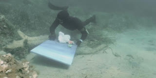 Freediving Artist Sofiane Benyahia Stitches Sea Waste Into Art Freediver Sofiane Benyahia