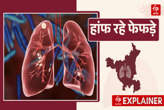 Explainer Lung Disease death Cases in Haryana Causes Prevention and Treatment COPD infection Asthma Cancer