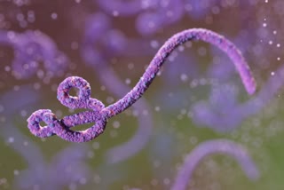 ebola-has-claimed-the-lives-of-over-3000-people