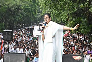 CAL HC ON MAMATA PUBLIC MEETING