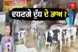 demand for increasing milk prices in Punjab