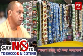 India's Tobacco Crisis : Despite the ban on tobacco and gutkha in Uttar Pradesh, sales continue unabated