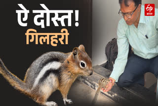 UNIQUE FRIENDSHIP SQUIRREL AND MAN