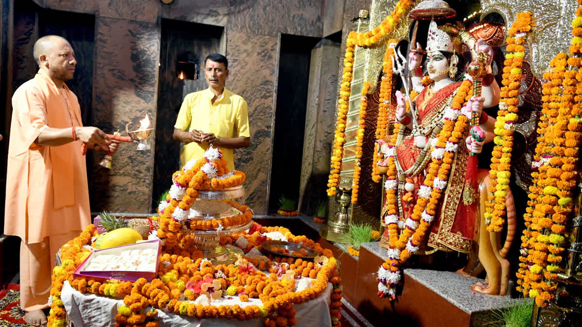 बलरामपुर में CM YOGI ने की पाटेश्वरी देवी की पूजा-अर्चना, बच्चों को मन  लगाकर पढ़ने का दिया मंत्र, गायों को गुड़ व चारा खिलाया
