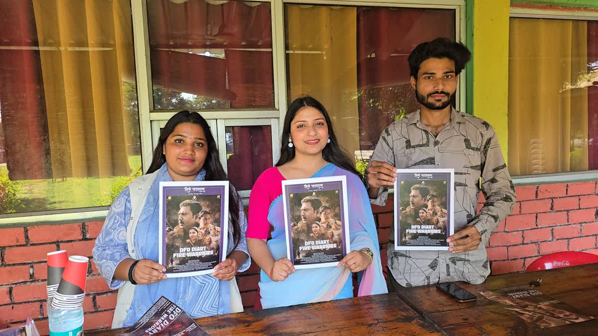 DFO DIARY FIRE WARRIORS