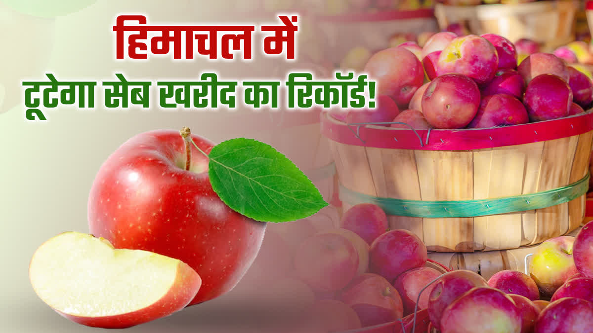HIMACHAL APPLE PRODUCTION Record