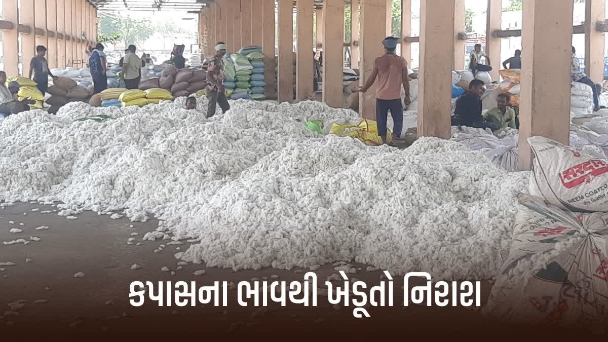 🗞️ ગુજરાત અપડેટ્સ - ShareChat
