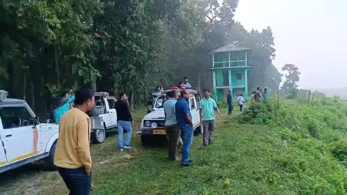 GYPSY SAFARI START IN JALDAPARA