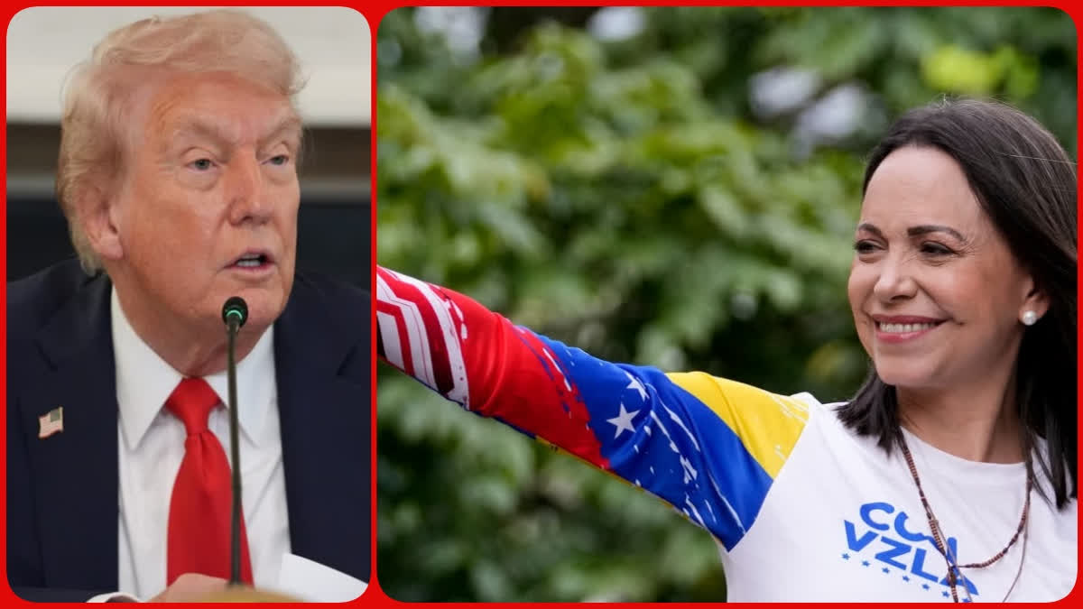 politics over peace white house slams nobel committee after donald trump misses out on peace prize Urdu News