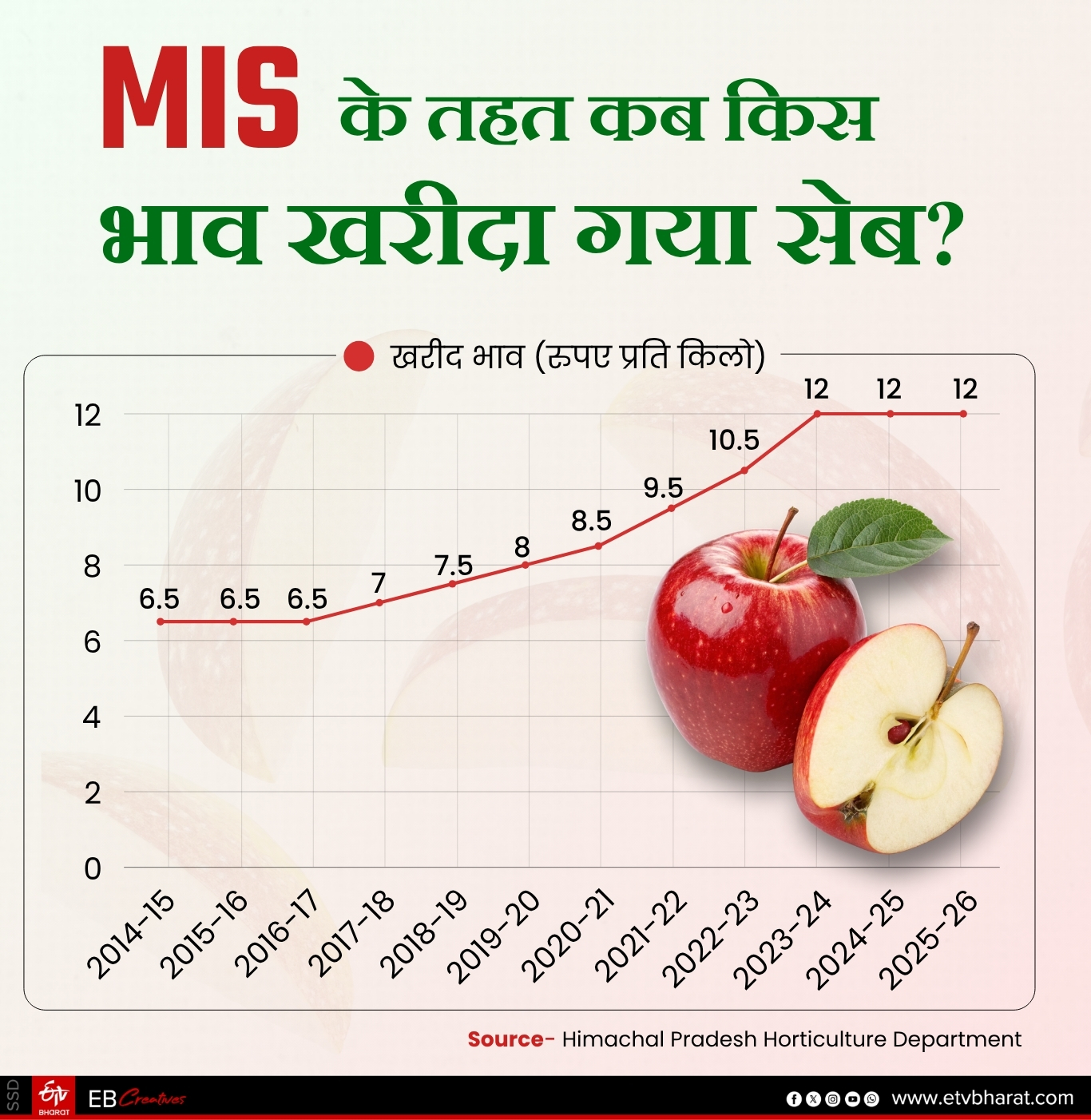 HPMC APPLE PROCUREMENT