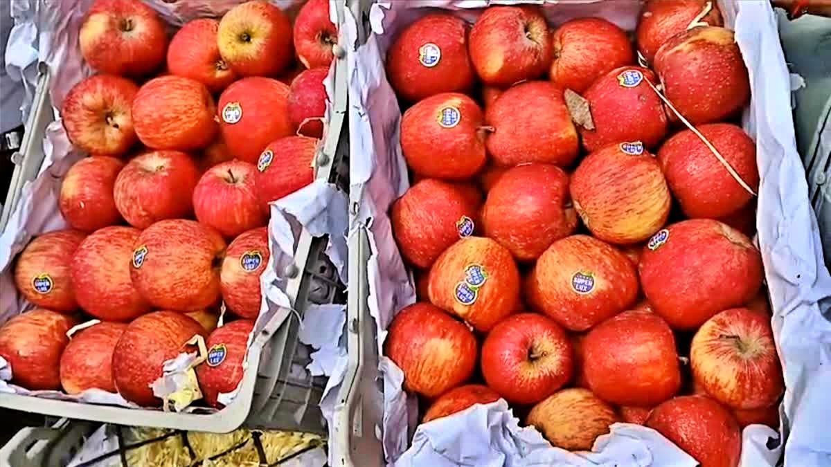 HIMACHAL APPLE PRODUCTION Record