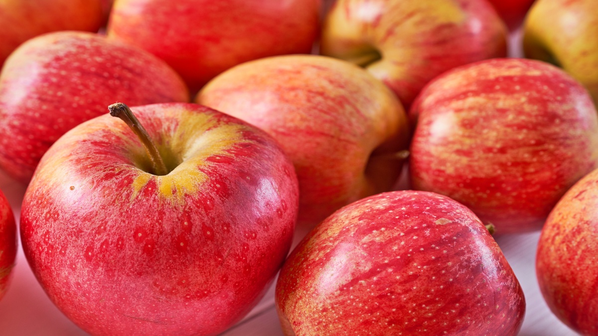 HIMACHAL APPLE PRODUCTION Record