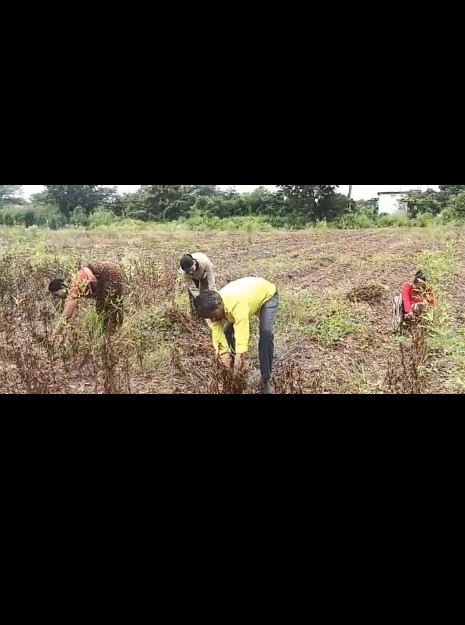 MH Daughters of farmers passing NEET exam for MBBS education inspirational journey