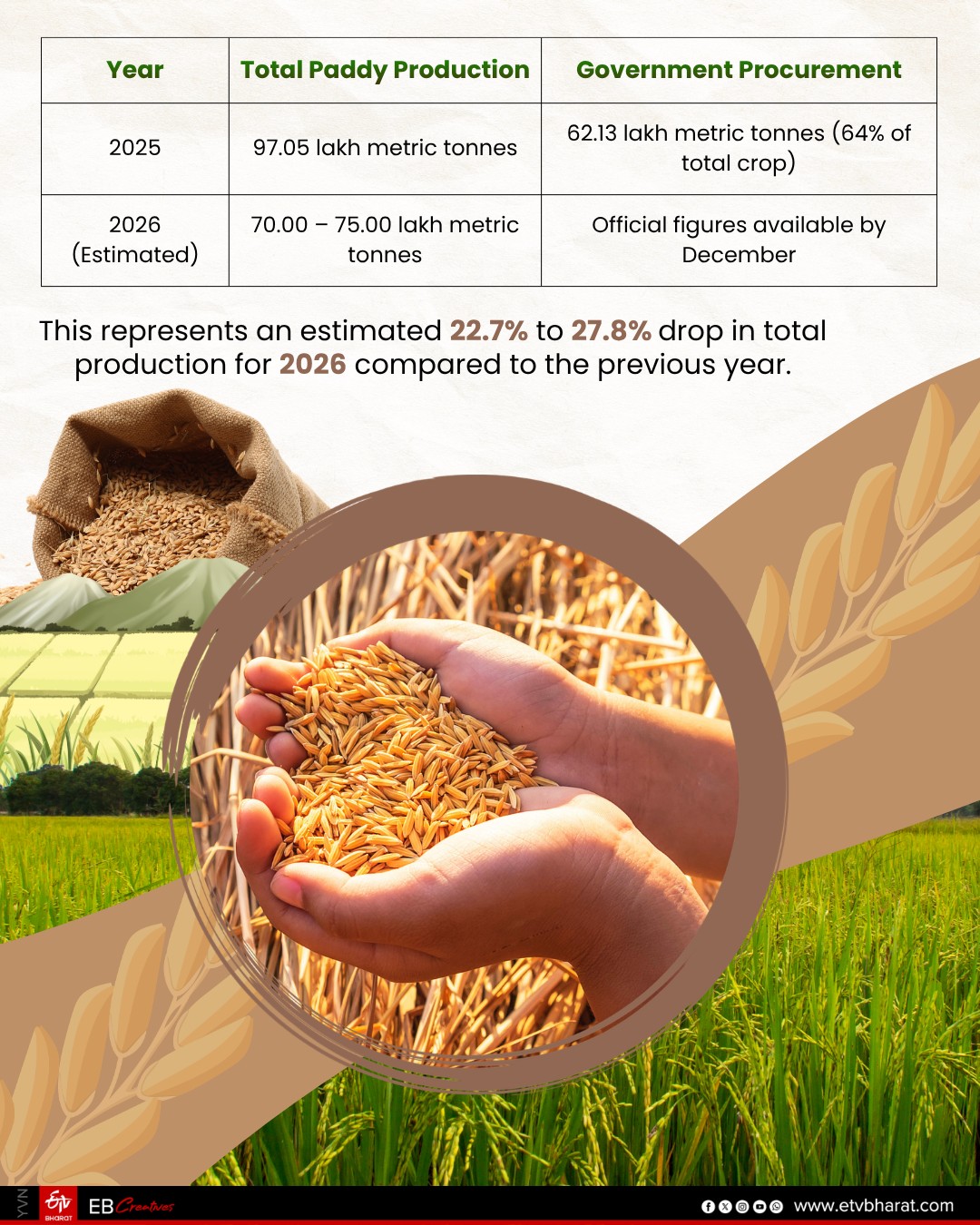 Rain Deficit Triggers Sharp Drop In Haryana Paddy Output