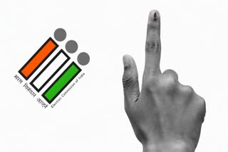 جموں و کشمیر: 2006 کے بعد پیدا ہونے والے نوجوانوں کو ووٹر کارڈ کیوں نہیں مل رہے؟ جانیں وجہ