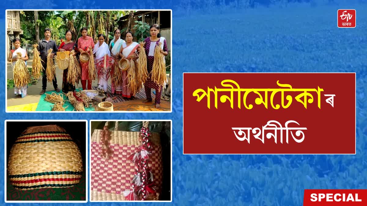 self-reliance through Water hyacinth