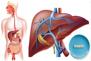 These warning signs indicate your body is demanding a detox.