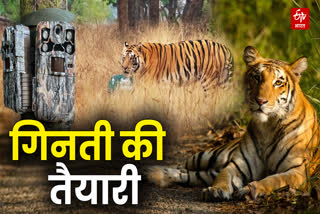 SAGAR NAURADEHI TIGER RESERVE