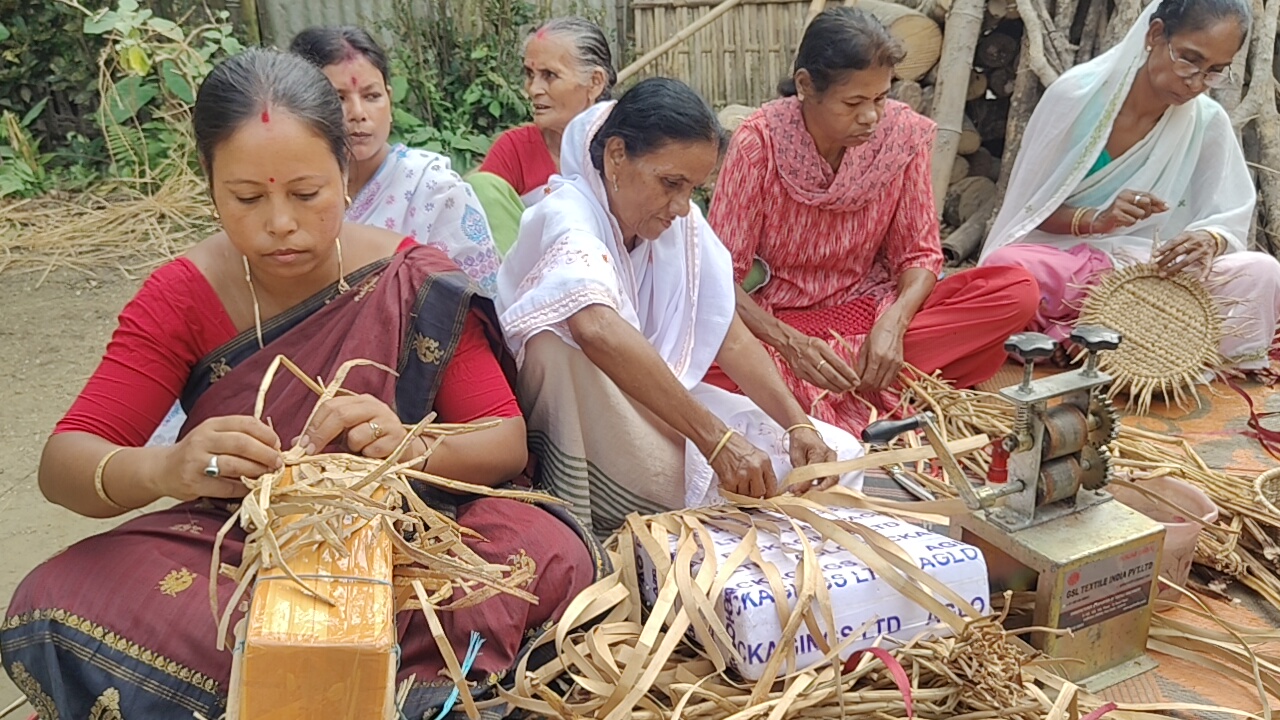 self-reliance through Water hyacinth