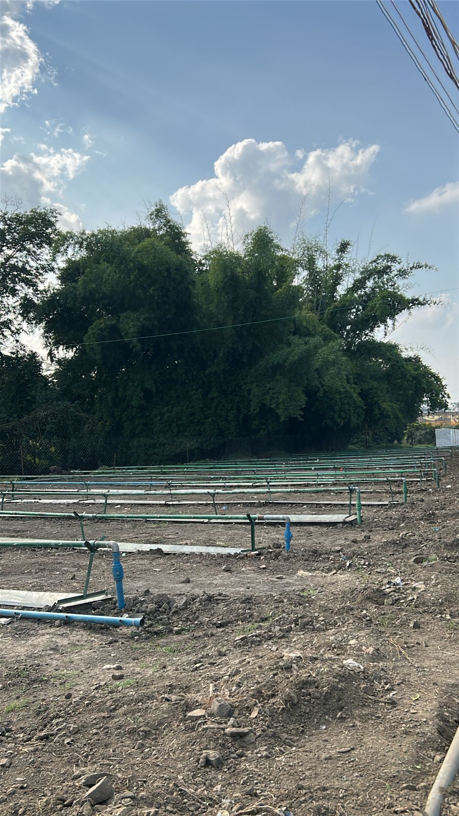 Bhopal Ijtema events