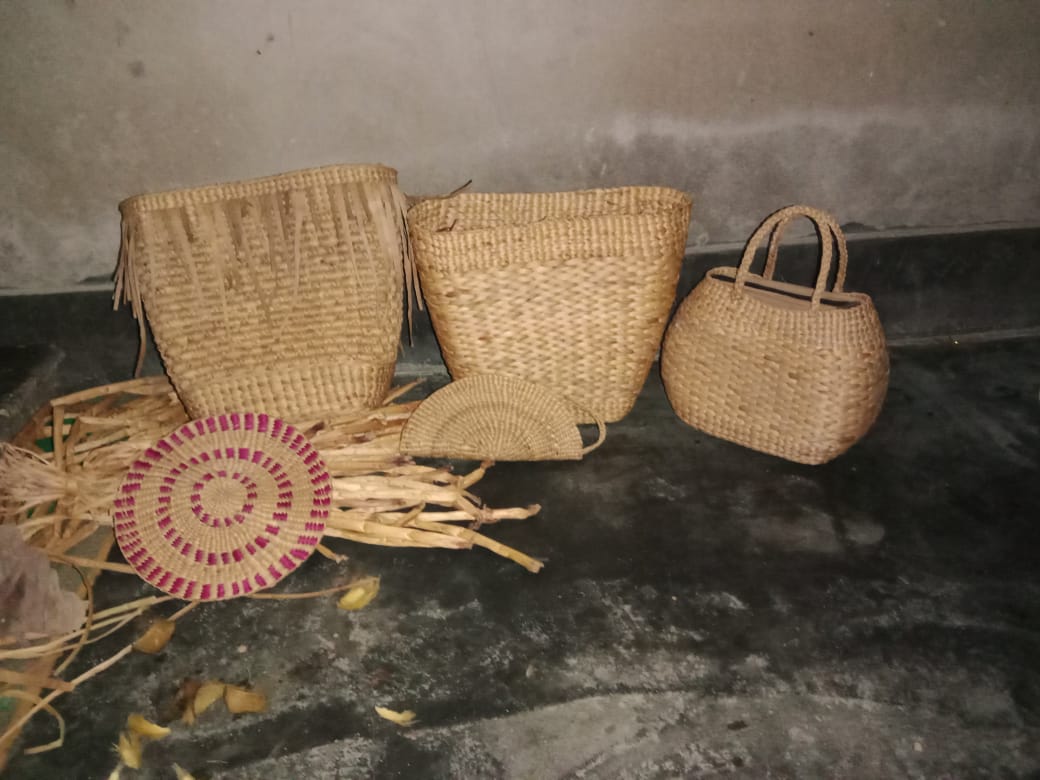 eco-friendly products made using Water hyacinth