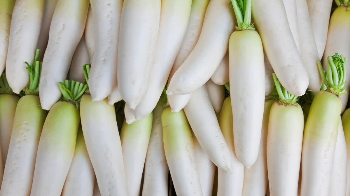 RADISH HELPFUL FOR DIABETES  NUTRIENTS IN RADISH  HEALTH BENEFITS OF RADISH  RADISH CONTROL BLOOD PRESSURE