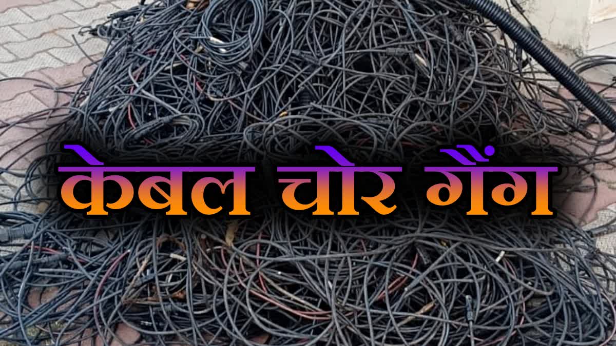 Rewa Cable Thief Gang