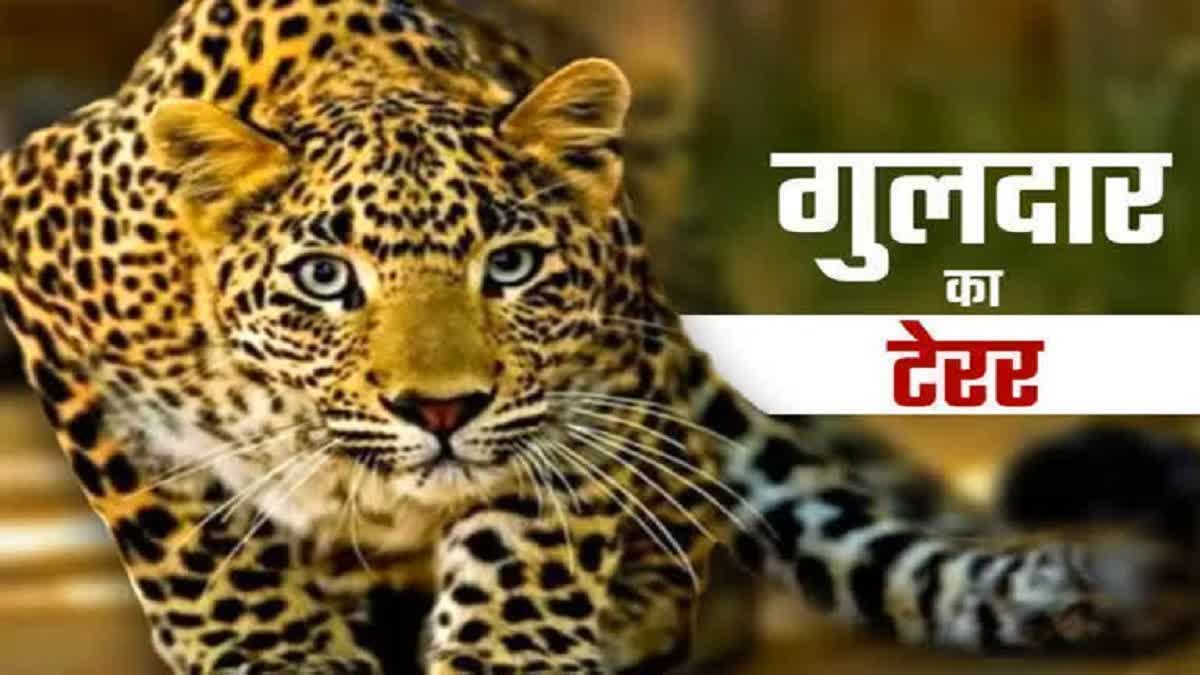 PAURI CHAUBATTAKHAL LEOPARD ATTACK