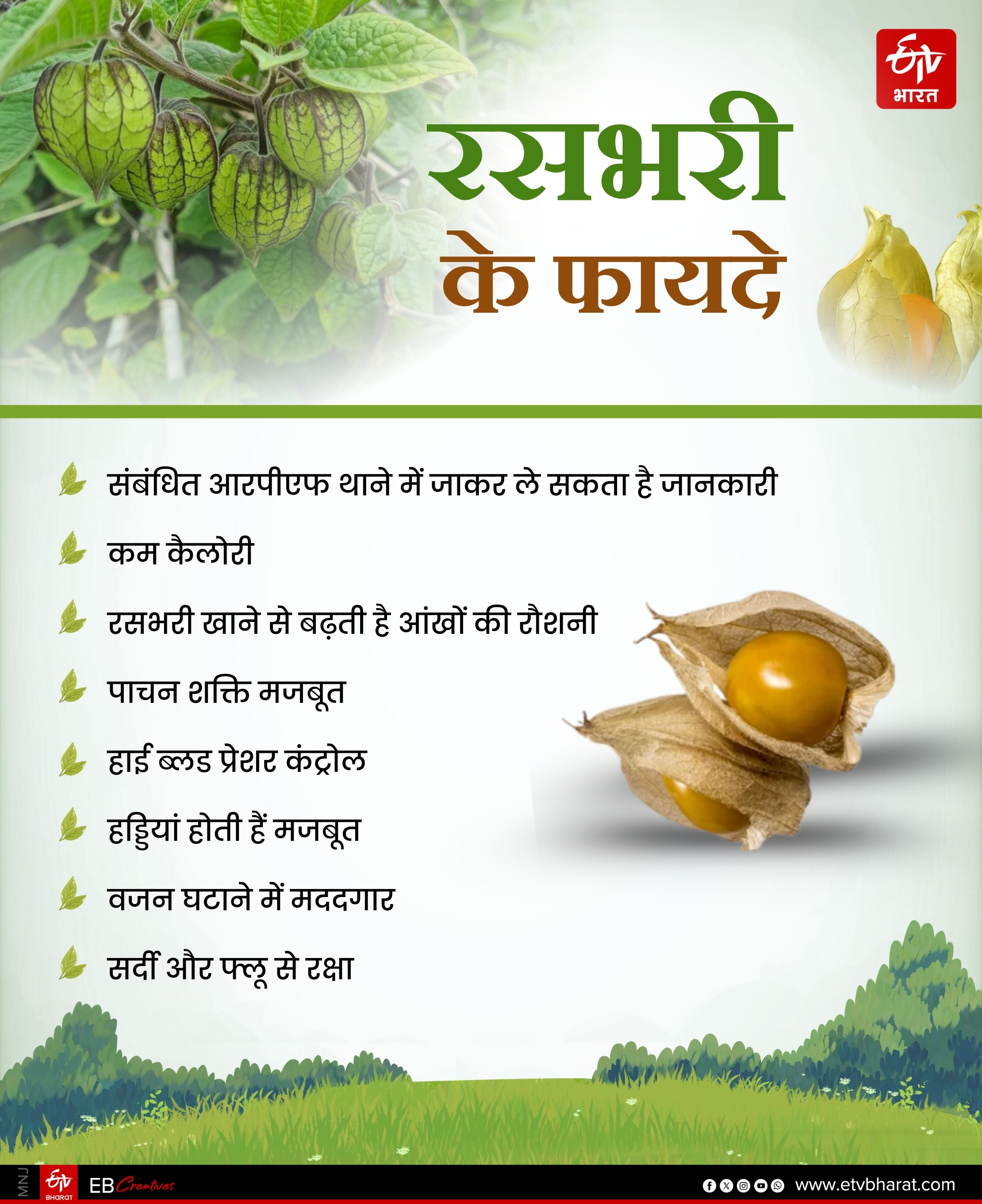 RASBHARI CULTIVATION IN BIHAR