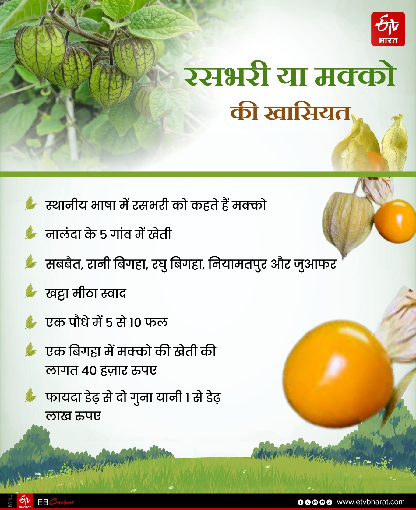 RASBHARI CULTIVATION IN BIHAR