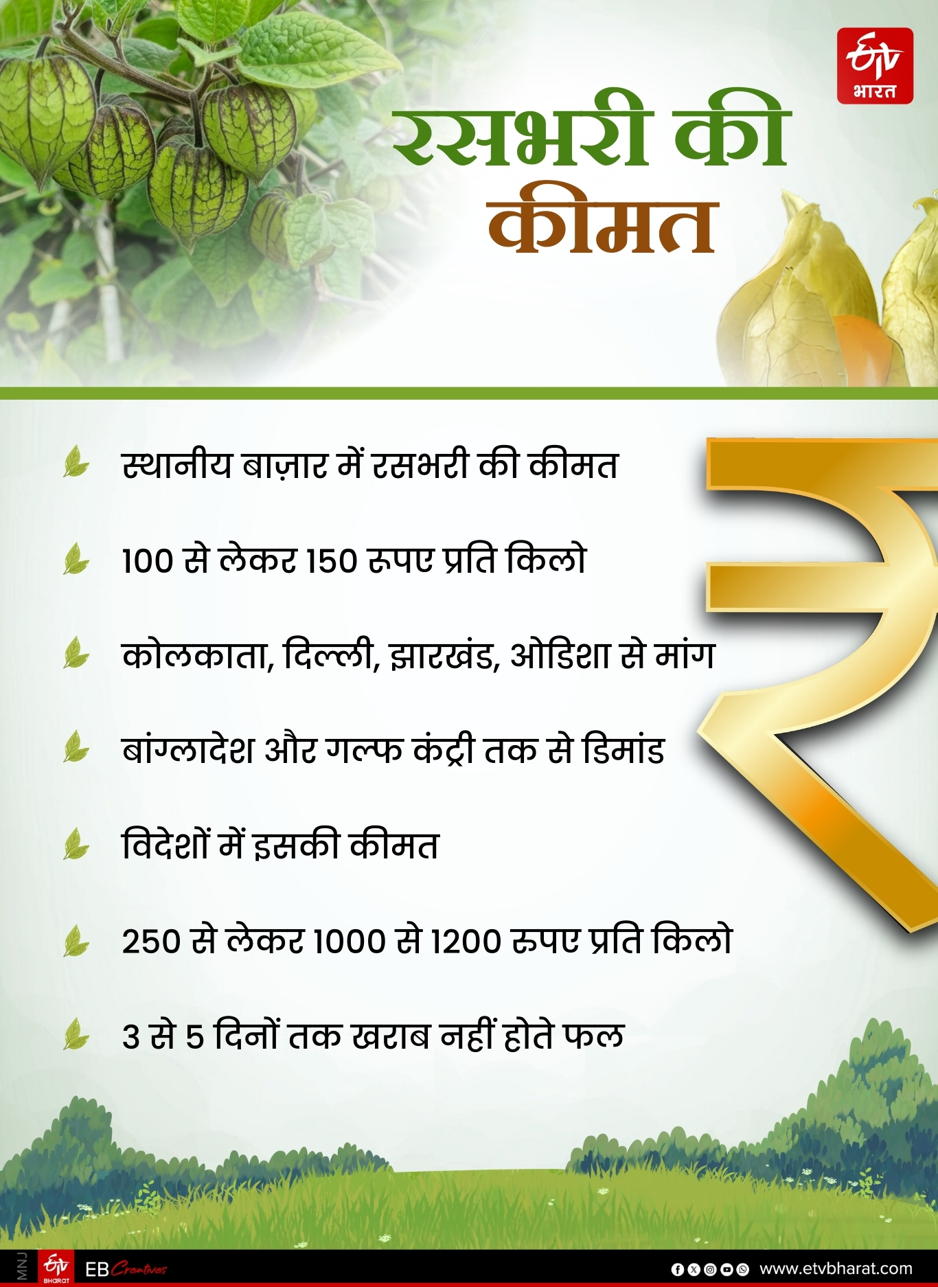 RASBHARI CULTIVATION IN BIHAR