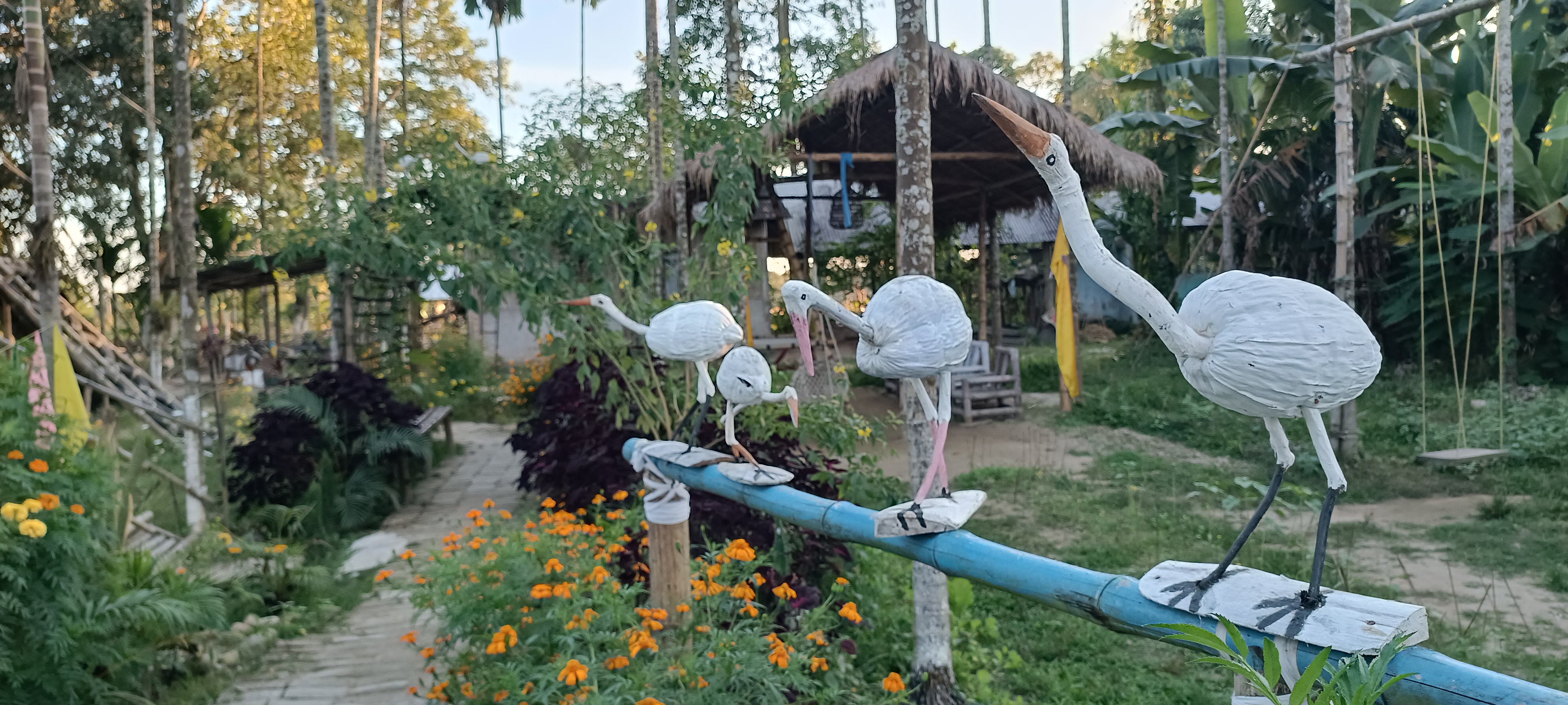 Bonphool Agri Tourism