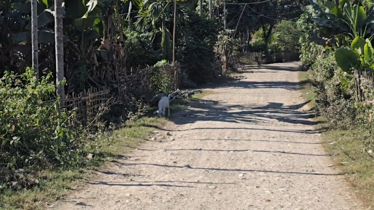 Public demand to constructed dilapidated road at Kemi Village in Jonai