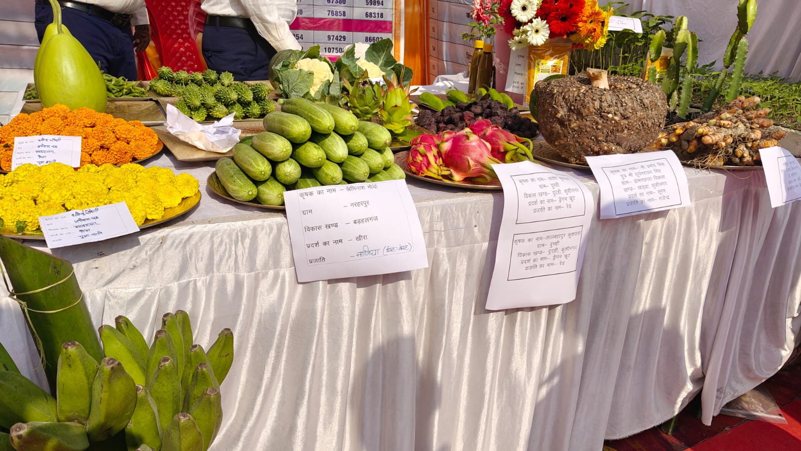 Gorakhpur Farmer Success Story