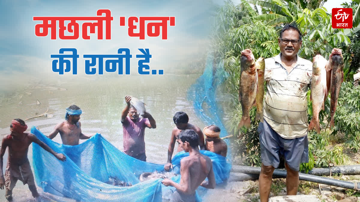 Rich from fish farming