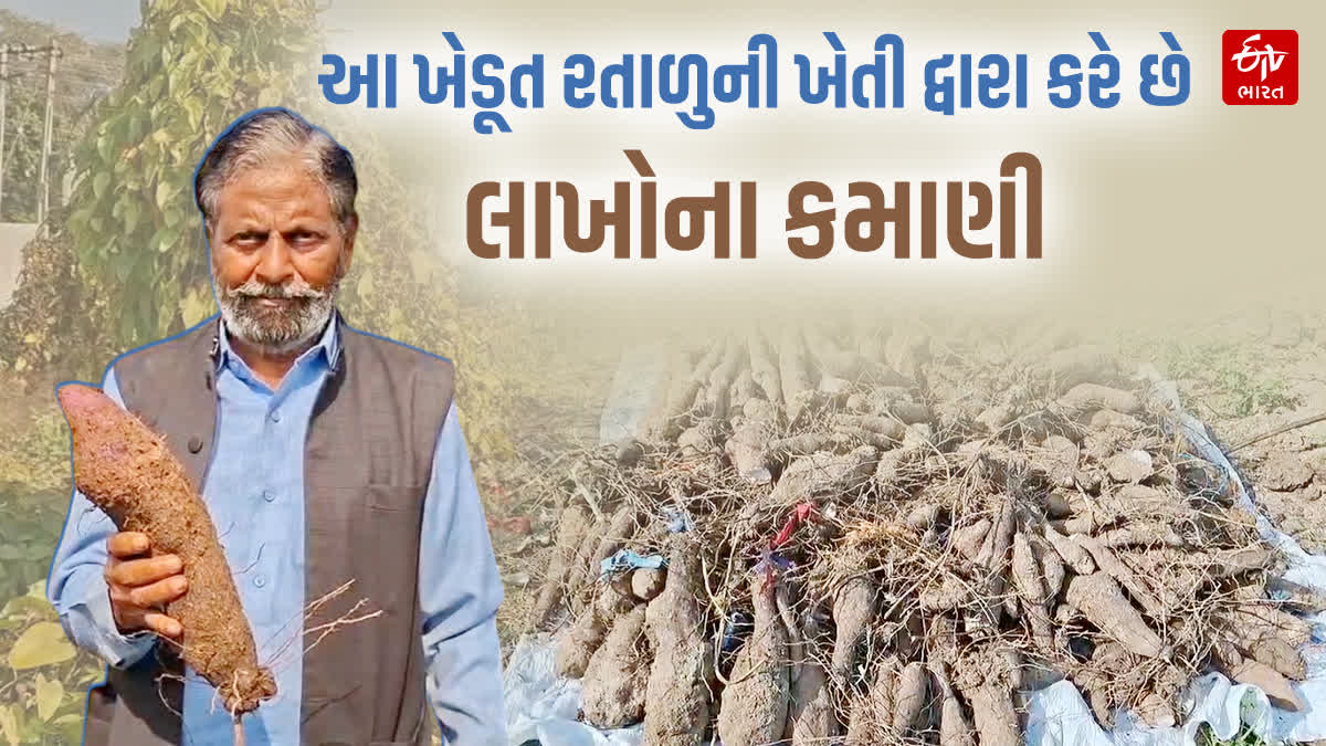એક ખેડૂત રતાળુની ખેતી દ્વારા કરે છે લાખોના કમાણી