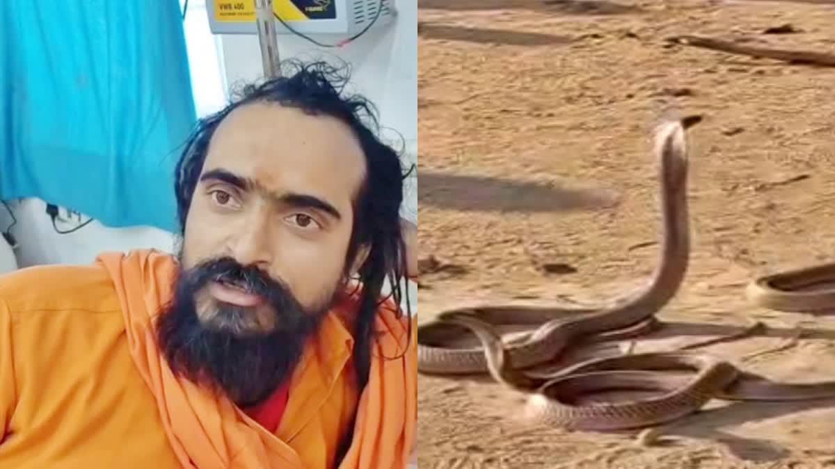 SNAKE CATCHER BRING SNAKES HOSPITAL