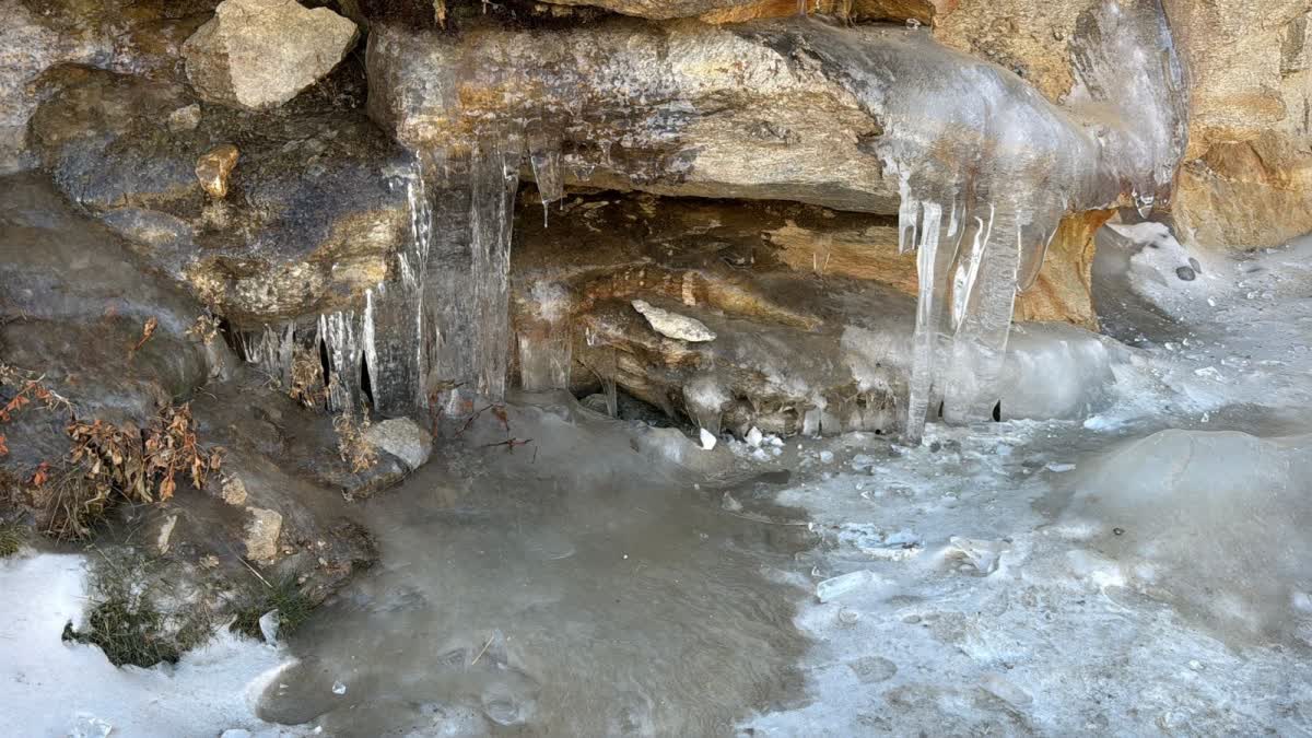 Himachal Weather Update