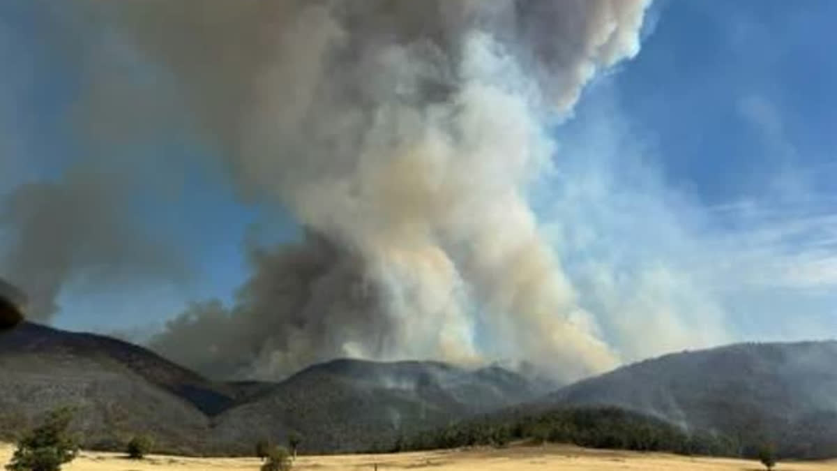 Scores Of Homes Razed, One Dead In Australian Bushfires
