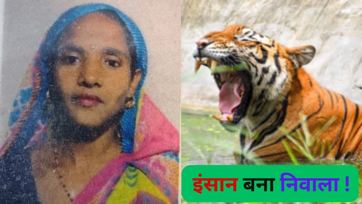 TIGER KILLED WOMEN