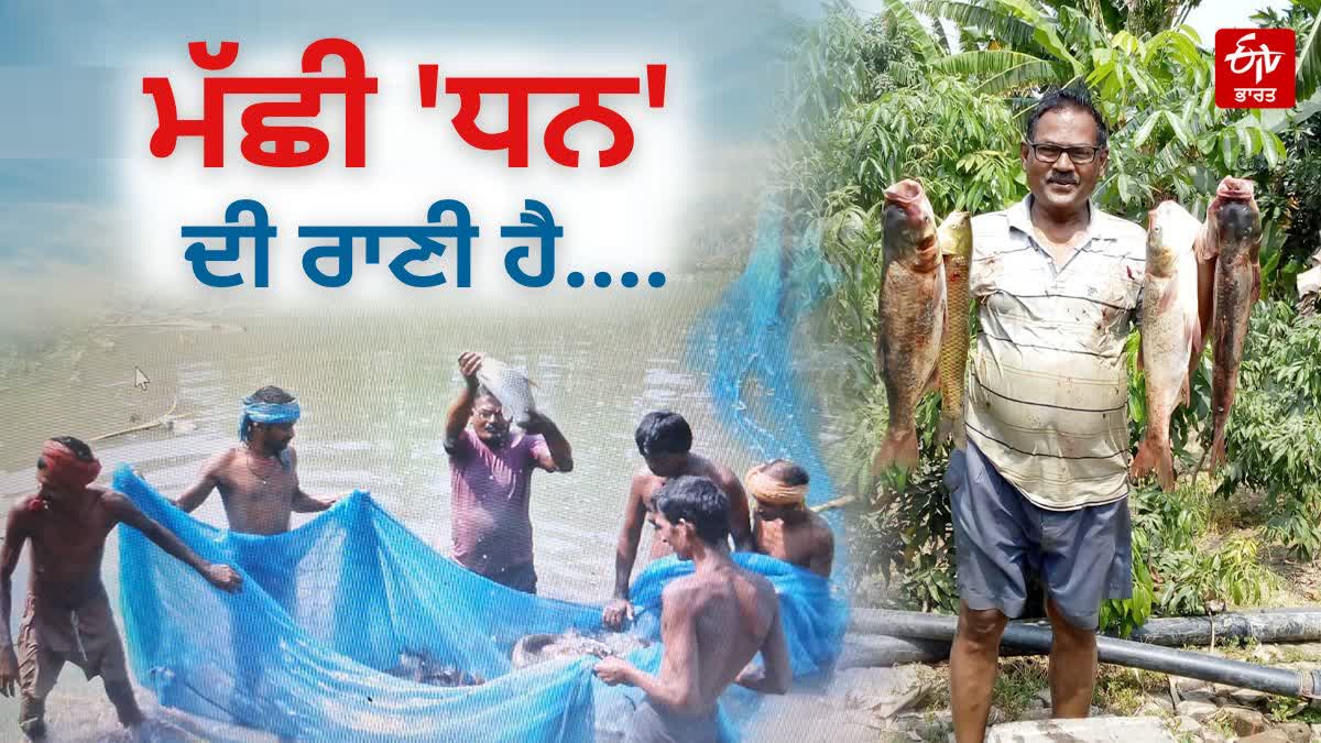 RICH FROM FISH FARMING