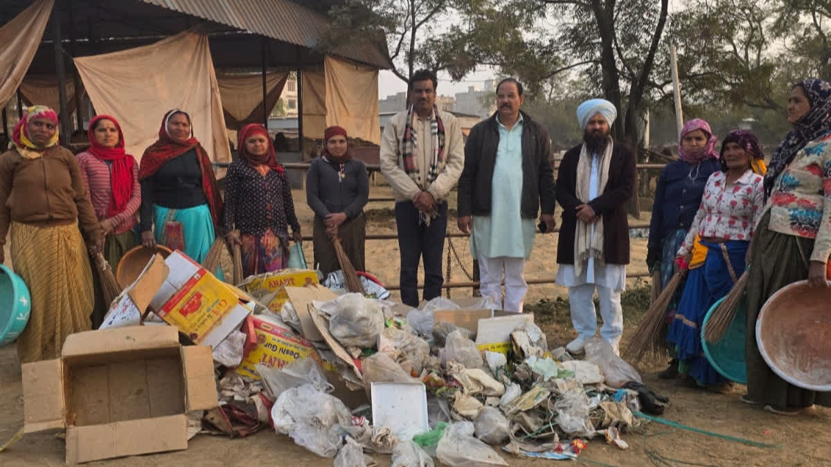 Plastic waste from cowshed