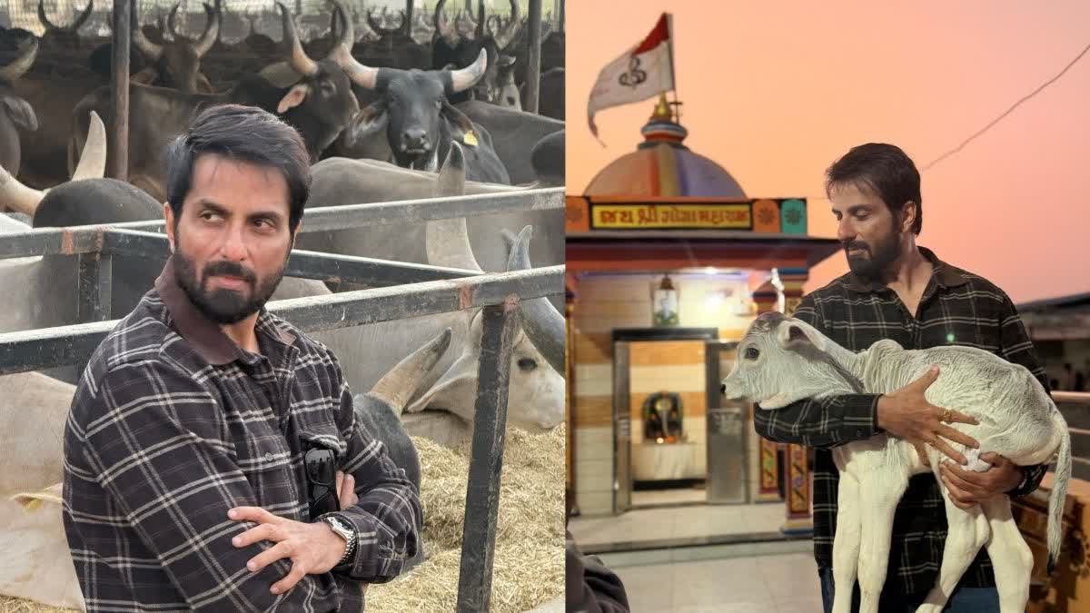 બોલિવૂડ અભિનેતા સોનુ સૂદ વારાહી ગૌશાળાની મુલાકાતે