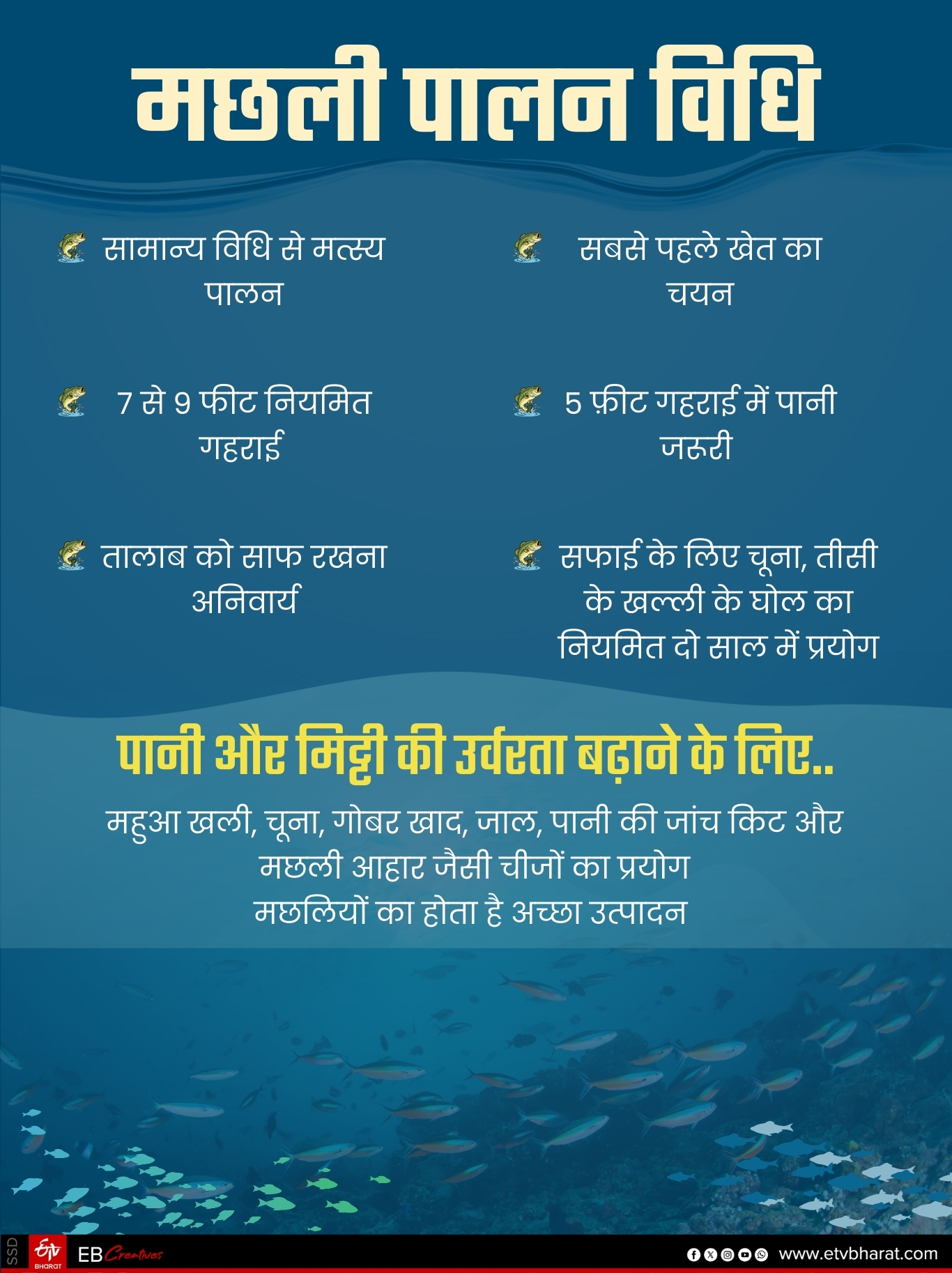 Rich from fish farming