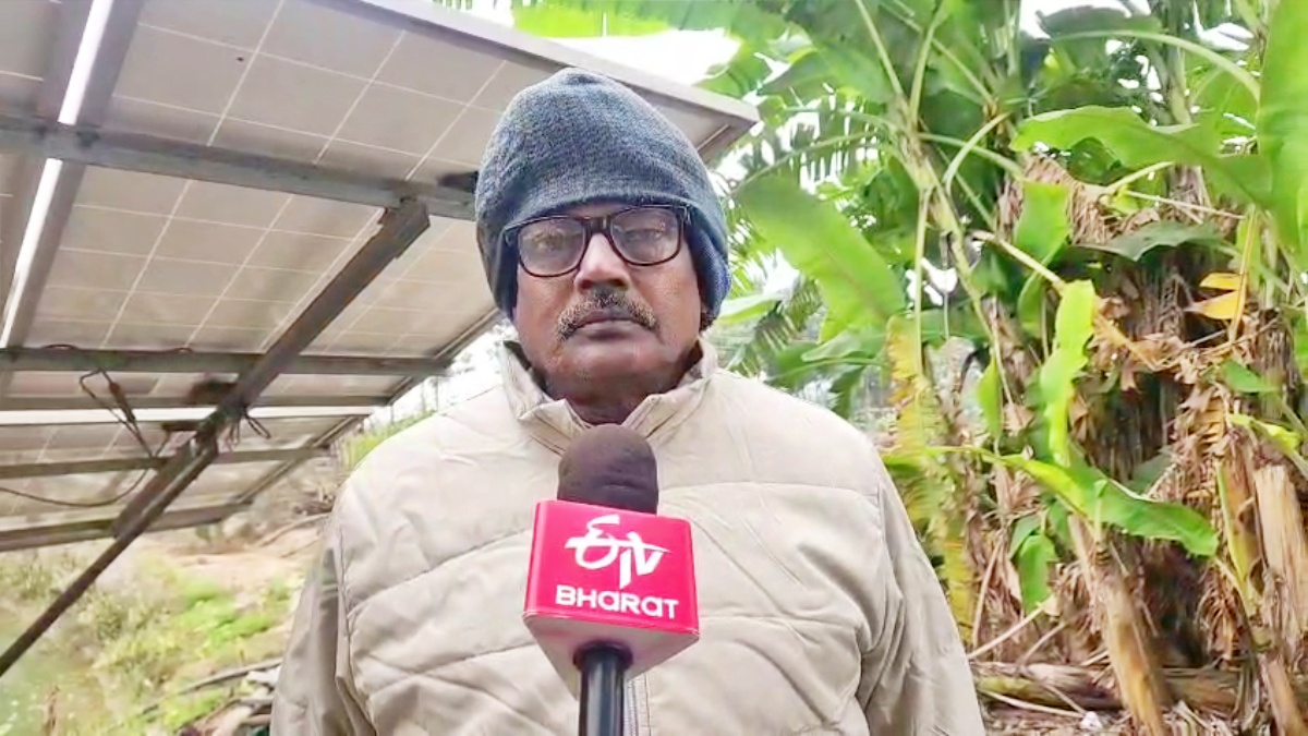 Rich from fish farming